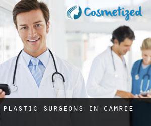 Plastic Surgeons in Camrie