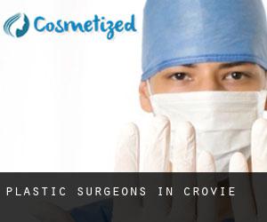 Plastic Surgeons in Crovie