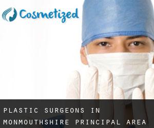 Plastic Surgeons in Monmouthshire principal area by main city - page 1
