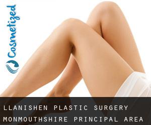 Llanishen plastic surgery (Monmouthshire principal area, Wales)